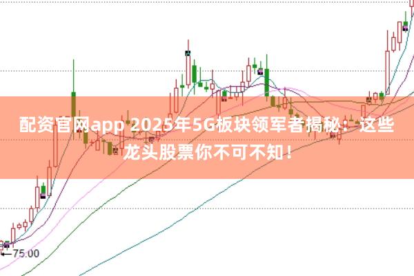 配资官网app 2025年5G板块领军者揭秘：这些龙头股票你不可不知！