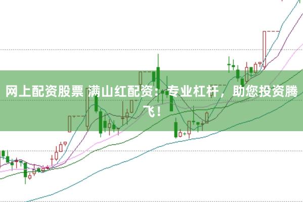 网上配资股票 满山红配资：专业杠杆，助您投资腾飞！