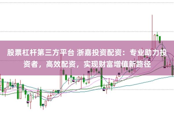 股票杠杆第三方平台 浙嘉投资配资：专业助力投资者，高效配资，实现财富增值新路径