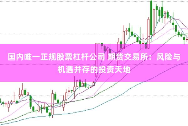 国内唯一正规股票杠杆公司 期货交易所：风险与机遇并存的投资天地