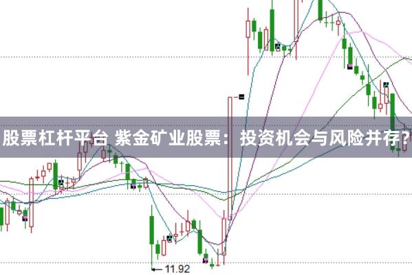 股票杠杆平台 紫金矿业股票：投资机会与风险并存？