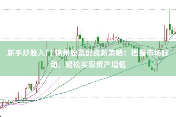 新手炒股入门 锦州股票配资新策略：把握市场脉动，轻松实现资产增值