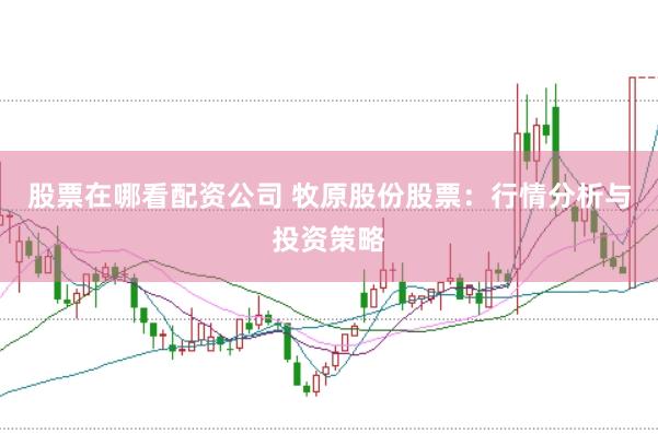 股票在哪看配资公司 牧原股份股票：行情分析与投资策略
