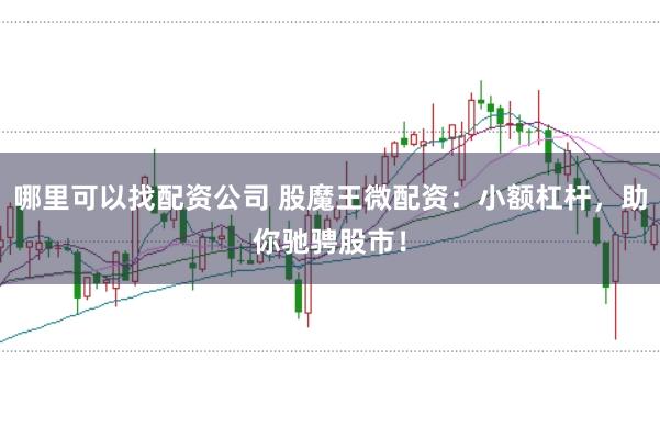 哪里可以找配资公司 股魔王微配资：小额杠杆，助你驰骋股市！