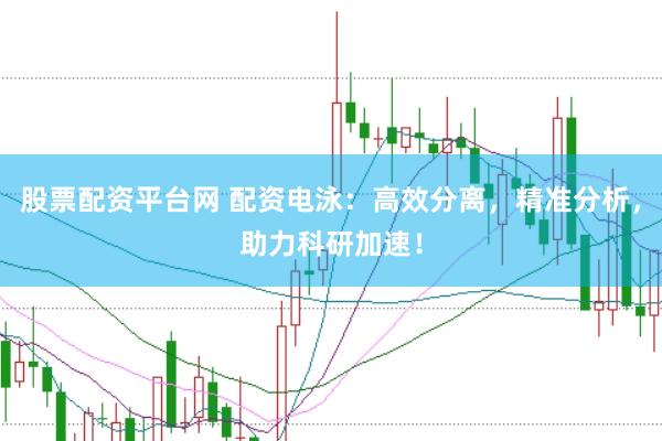 股票配资平台网 配资电泳：高效分离，精准分析，助力科研加速！