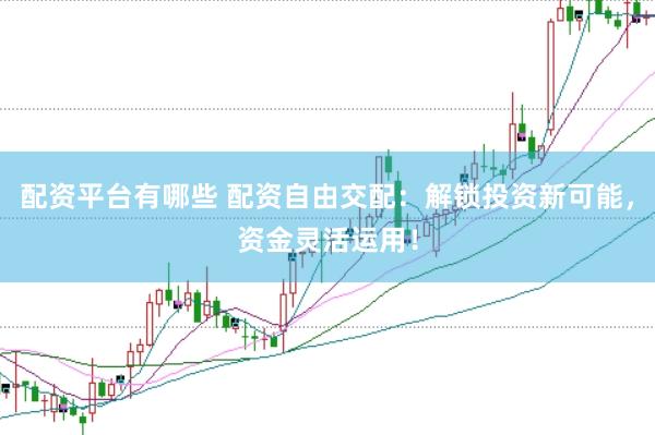 配资平台有哪些 配资自由交配：解锁投资新可能，资金灵活运用！