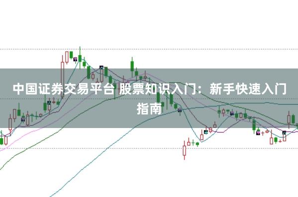 中国证券交易平台 股票知识入门:新手快速入门指南