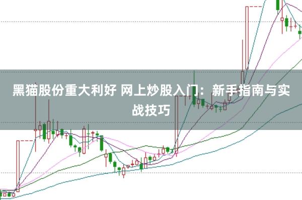 黑猫股份重大利好 网上炒股入门：新手指南与实战技巧