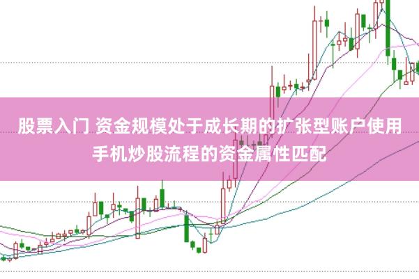 股票入门 资金规模处于成长期的扩张型账户使用手机炒股流程的资金属性匹配